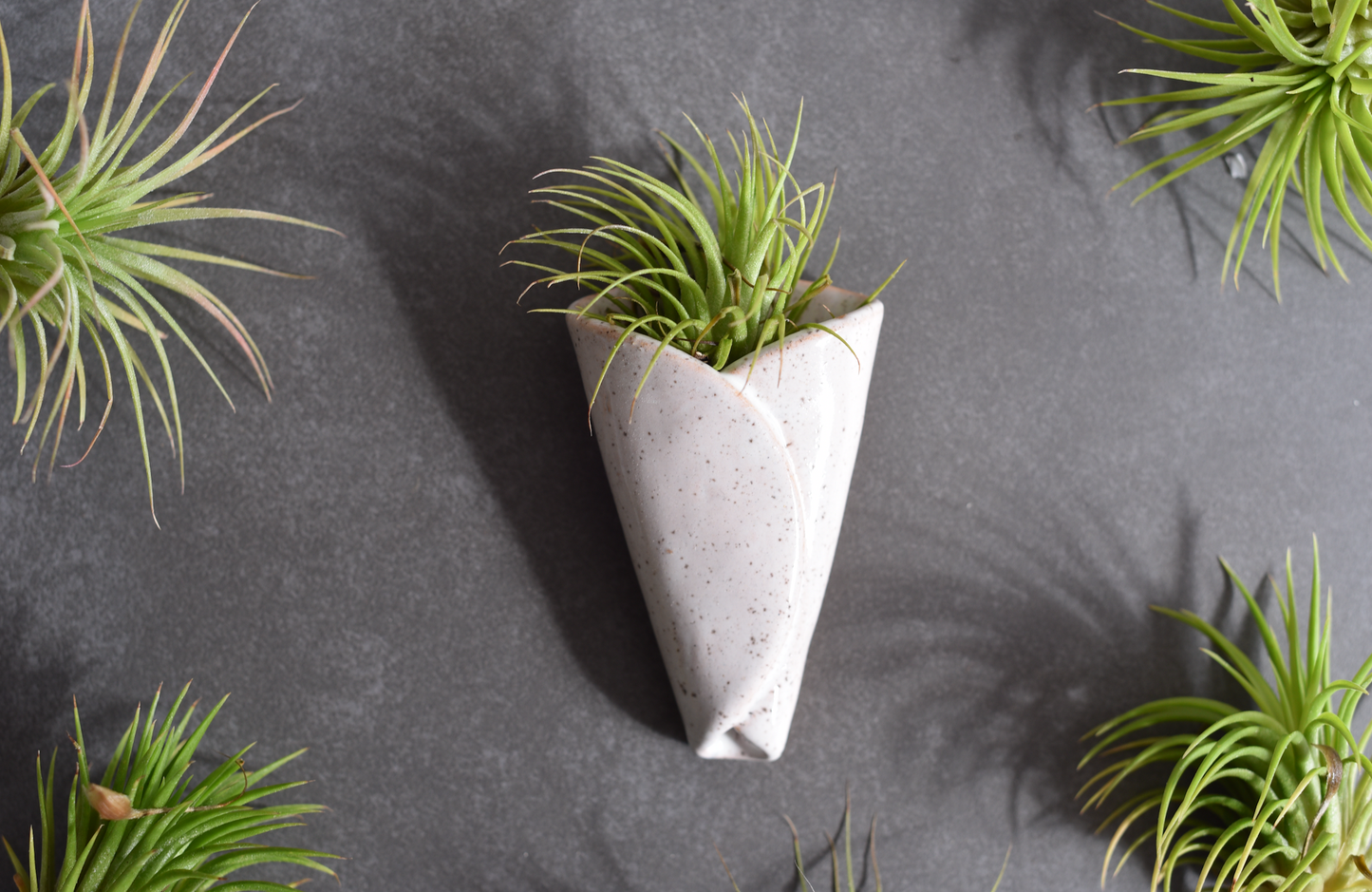 Air Plant Pottery - CONE: Holders Only