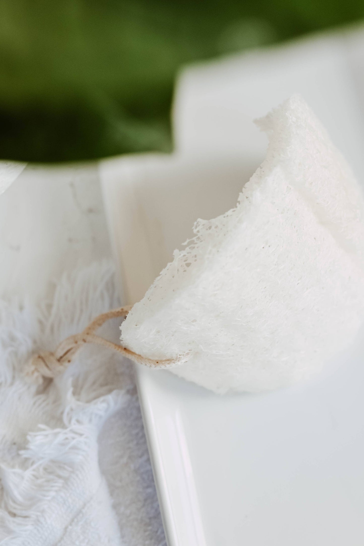 Kitchen Loofah | Single Layer | 2 Pack