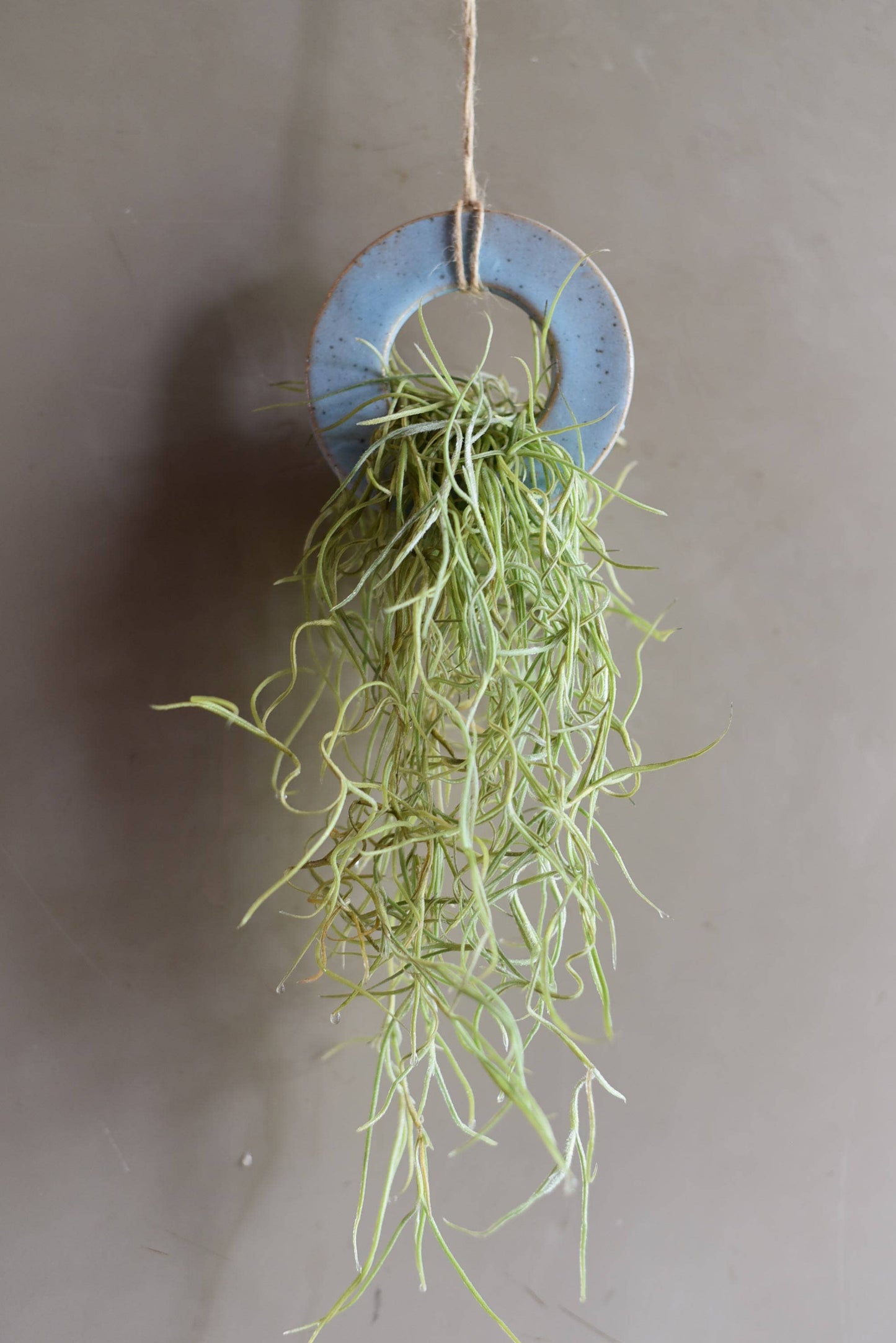 Air Plant Pottery - RING: Holders Only