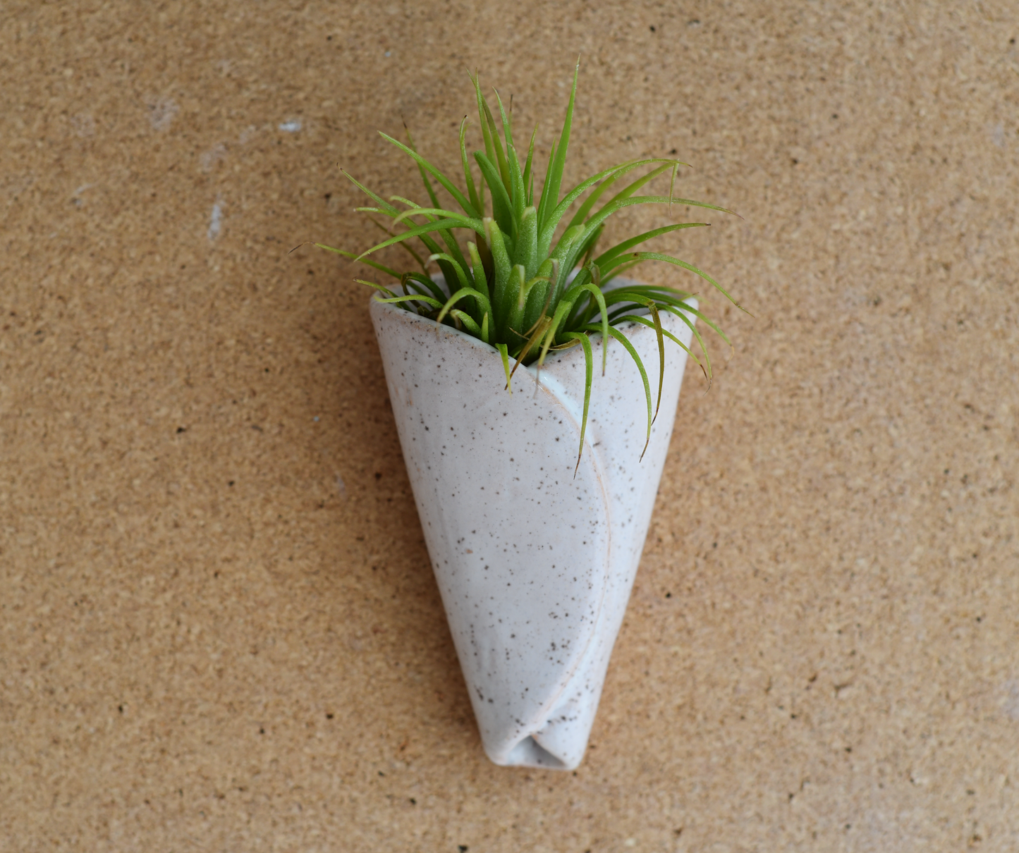 Air Plant Pottery - CONE: Holders Only