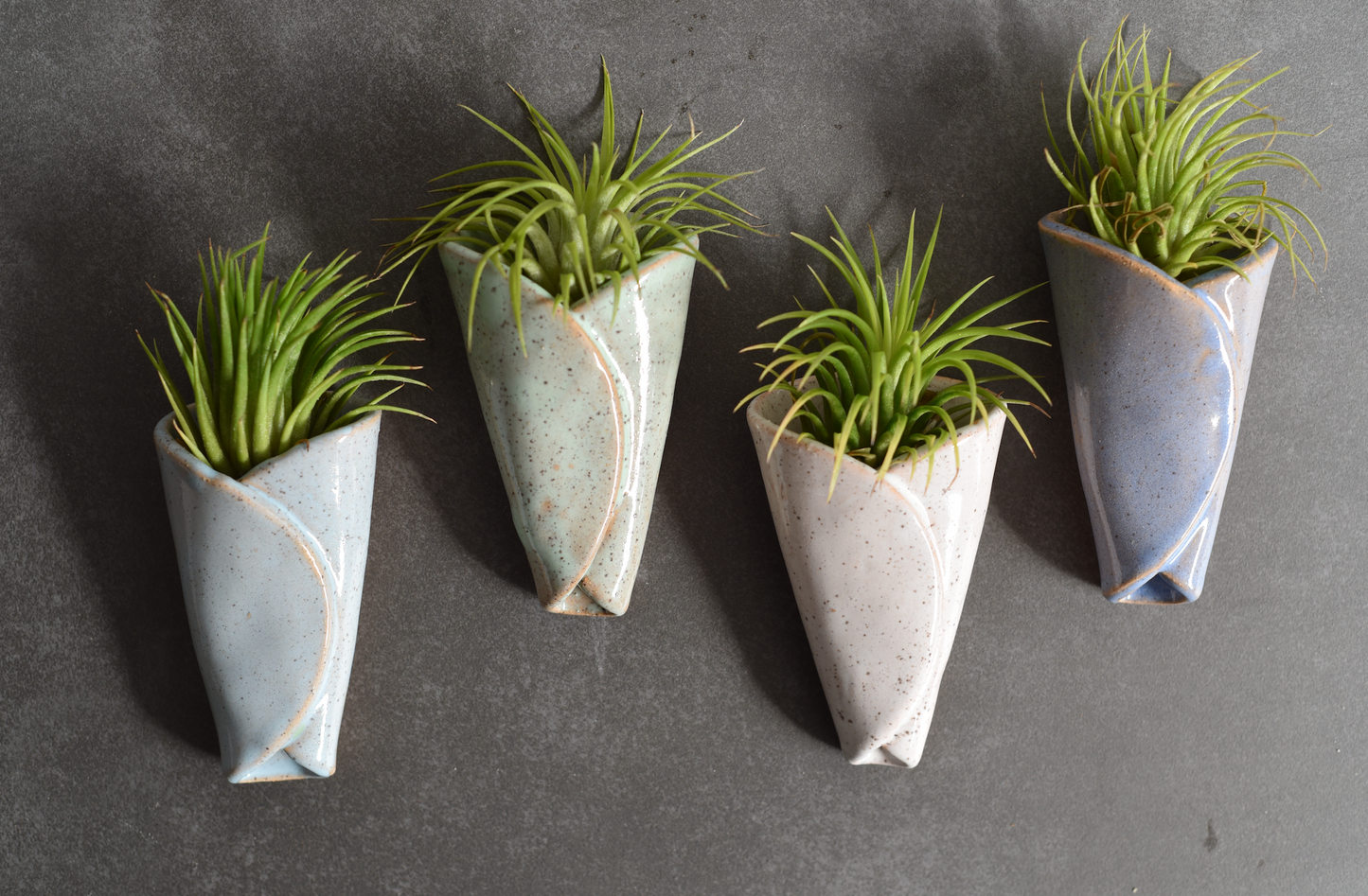 Air Plant Pottery - CONE: Holders Only