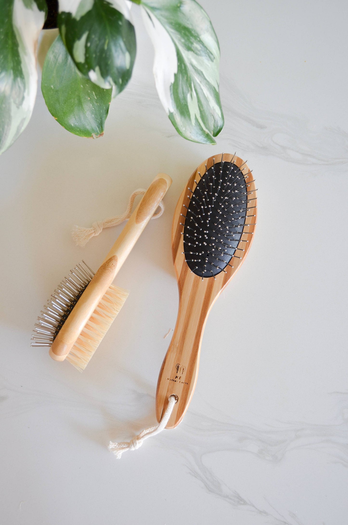 Eco Friendly Bamboo Pet Brush: Large