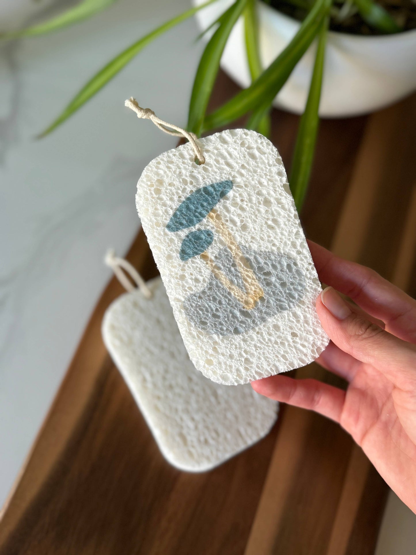 Pop Up Dish Sponges | 3-Pack | Forest Collection