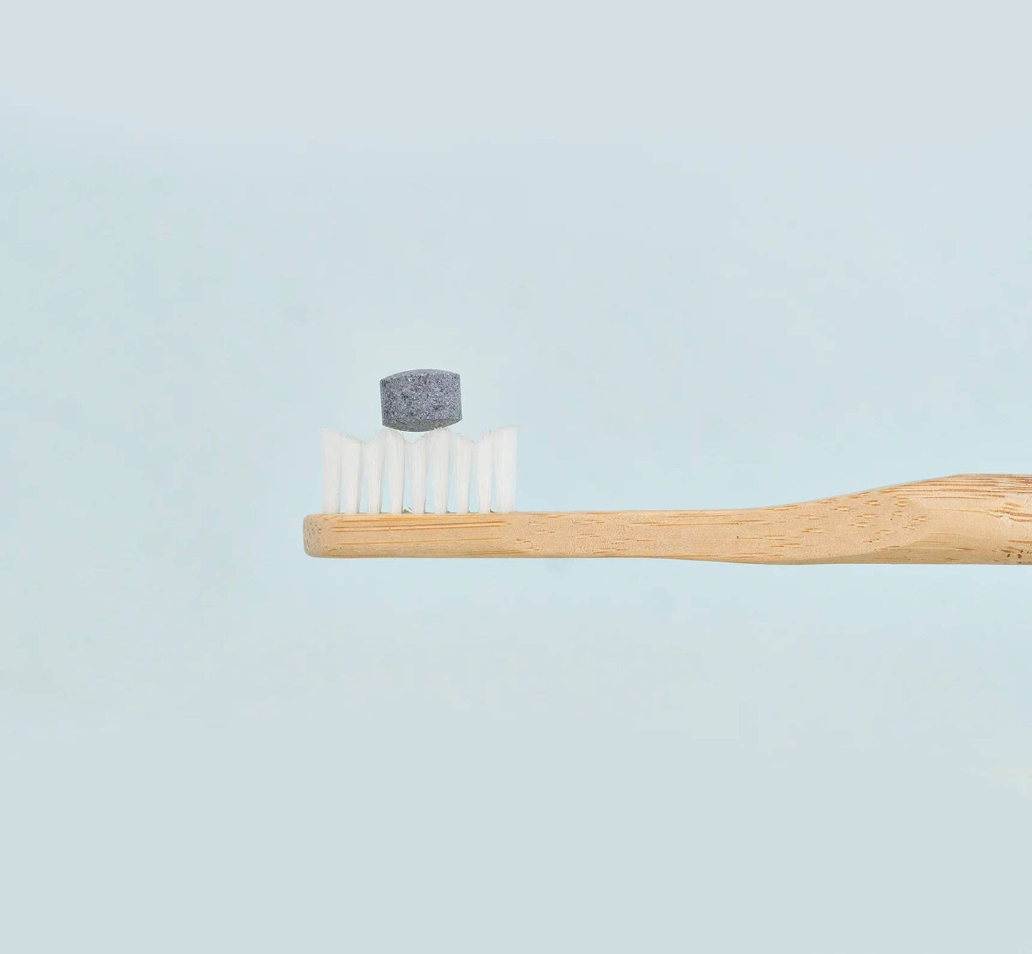 Toothpaste Tablets | Charcoal Mint