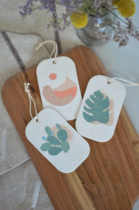 Pop Up Dish Sponges 3-Pack | Desert Collection